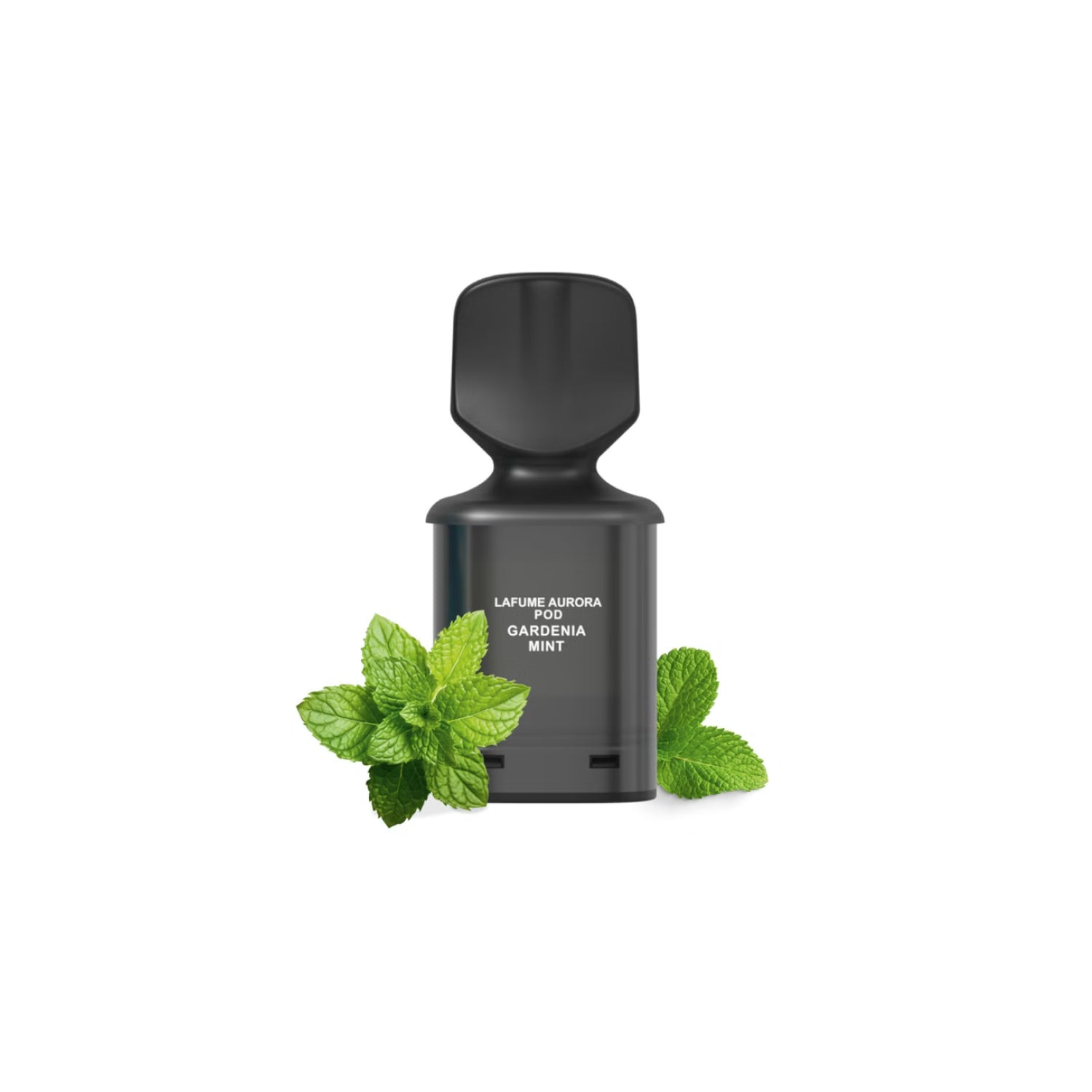 AURORA - Pod - Gardenia Mint